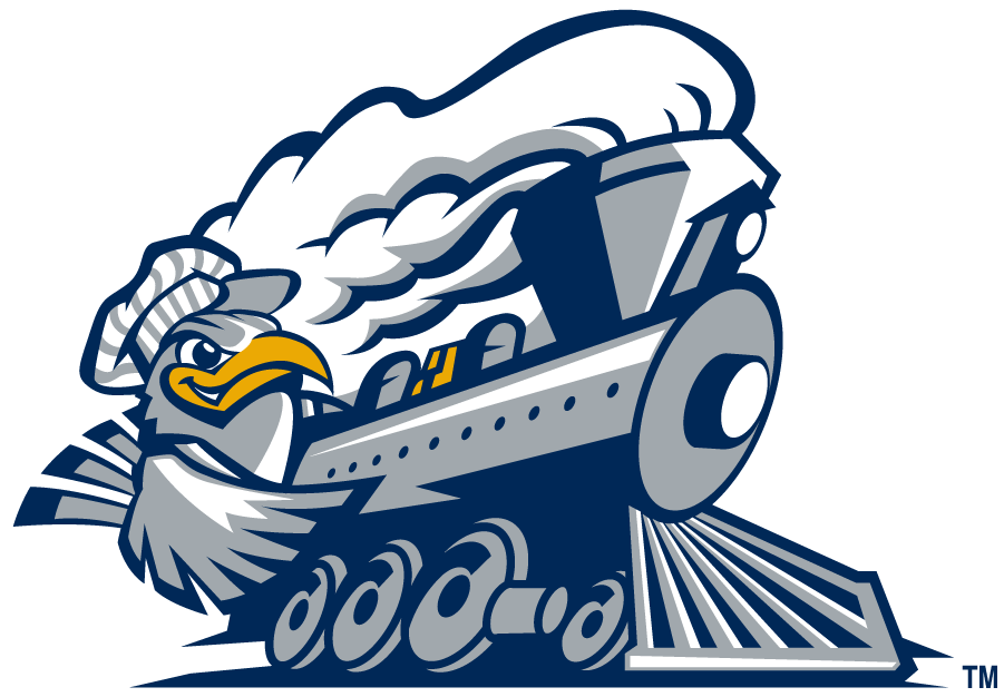 Chattanooga Mocs 1997-2008 Alternate Logo v4 iron on transfers for T-shirts